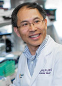 Mingjiang Xu, M.D., Ph.D.