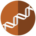 Biology of cancer health disparities icon