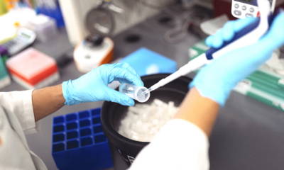 A lab technician in a white coat and blue gloves is using a pipette to add liquid to a transparent tube above a black container filled with ice cubes.