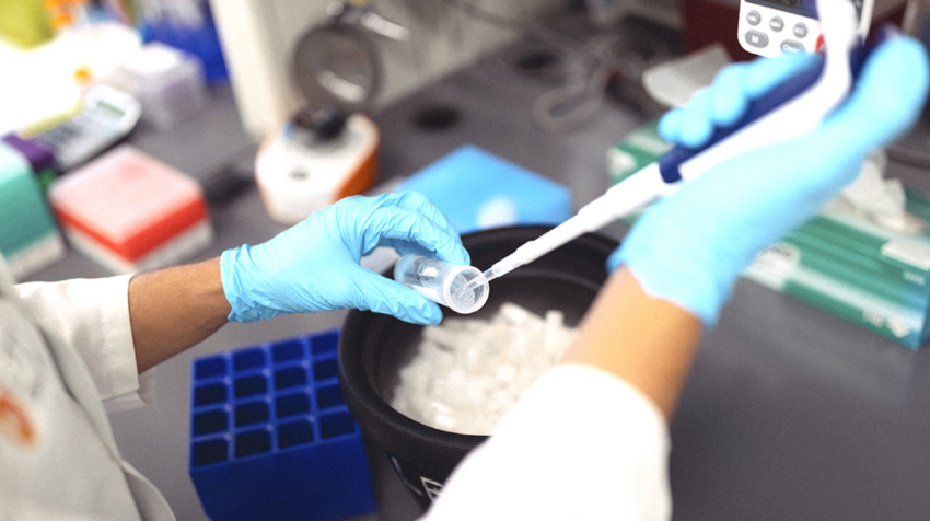 A lab technician in a white coat and blue gloves is using a pipette to add liquid to a transparent tube above a black container filled with ice cubes.