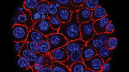 CPRIT awards UT Health San Antonio $6.6 million to accelerate cancer research
