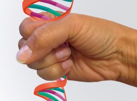dna squeezed