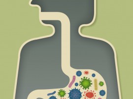 stomach illustration