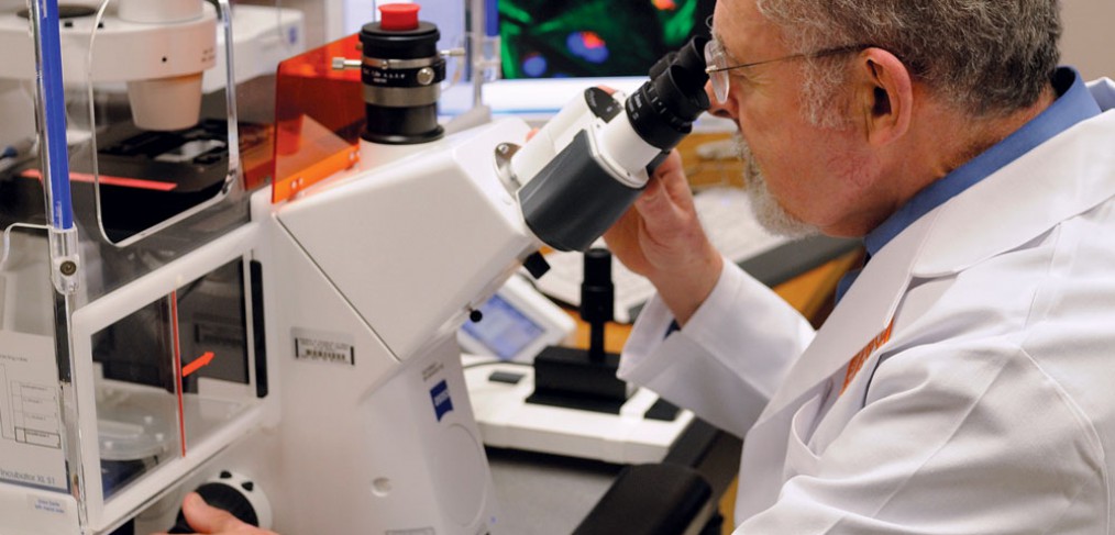 Joel B. Baseman, Ph.D., examines live cells using an inverted fluorescence microscope, which was purchased with funds from the Kleberg Foundation grant. The technology allows researchers to closely observe pulmonary pathogens, and better understand how these infectious agents invade human cells and grow and multiply in the body. Their goal is to develop innovative treatments to prevent asthma and other acute and chronic airway diseases.