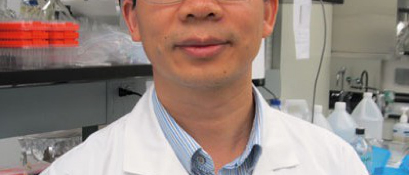 Qitao Ran, Ph.D.