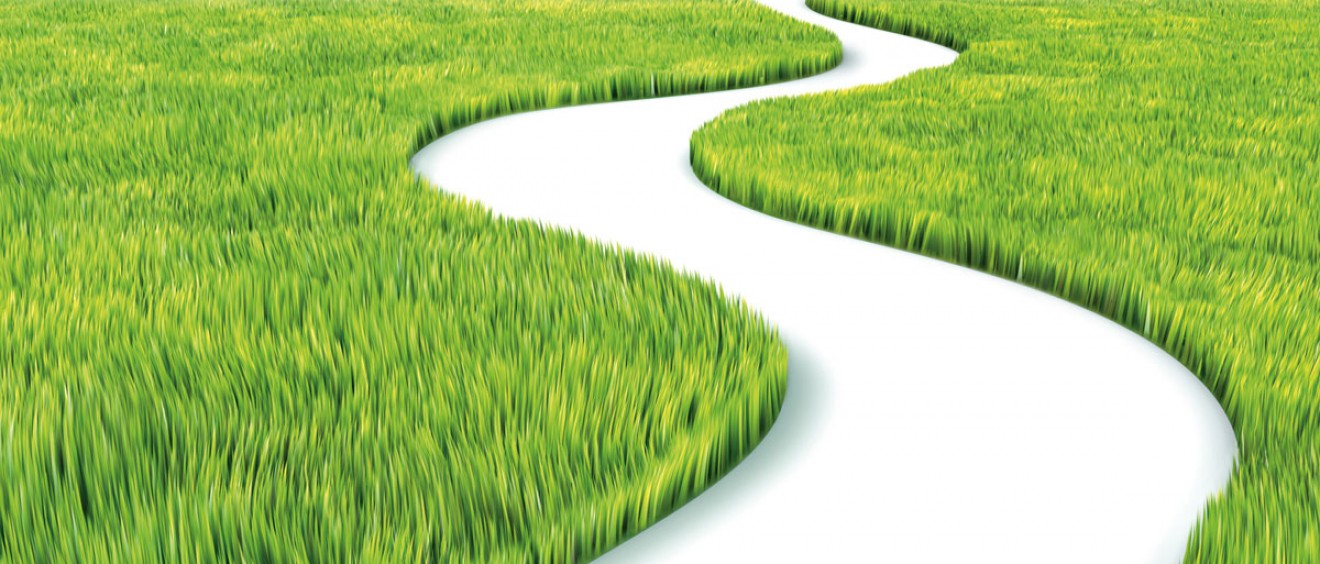 The road less traveled