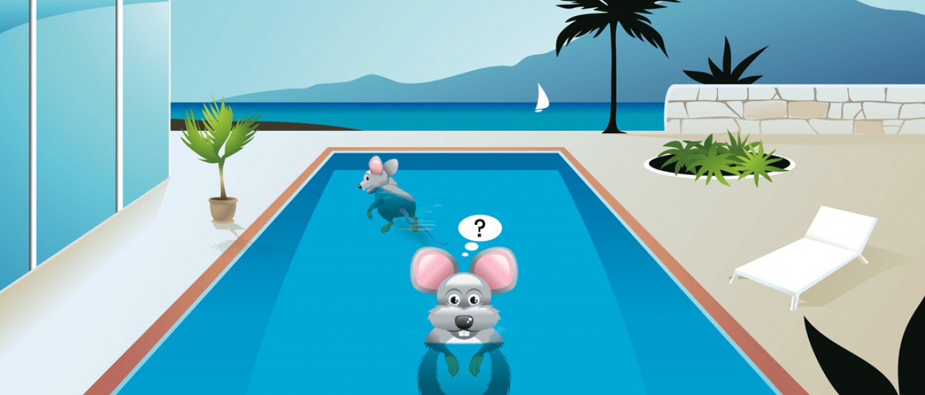 water maze research