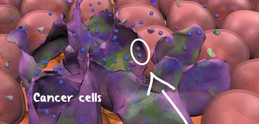Reovirus