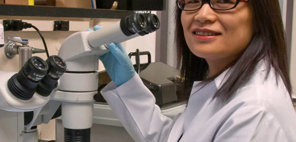 Pei Wang, Ph.D.