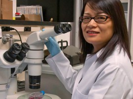 Pei Wang, Ph.D.
