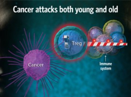 elderly_cancer_immune_system_graphic