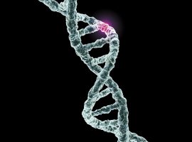 DNA