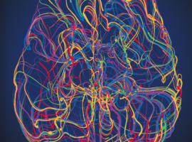 abstract drawing of a brain