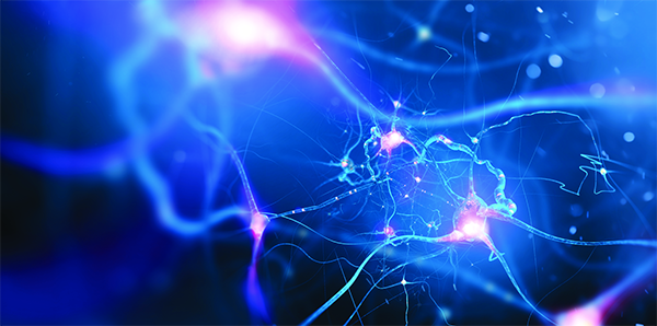 brain synapses_Mission23