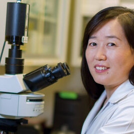 Xin-Yun Lu, M.D., Ph.D.