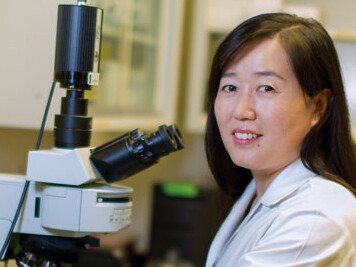 Xin-Yun Lu, M.D., Ph.D.