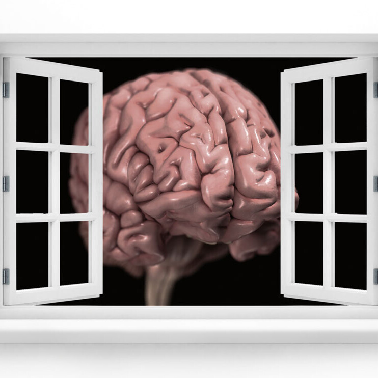 Brain in window