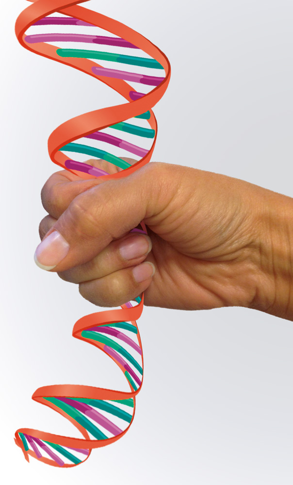 dna_squeezed