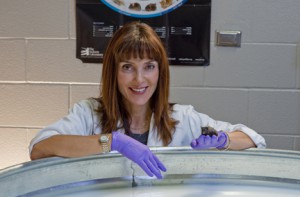 Veronica Galvan, Ph.D.