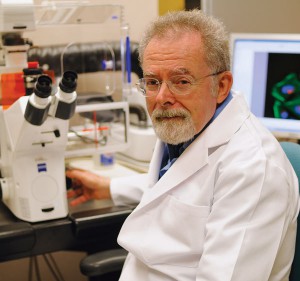Joel B. Baseman, Ph.D., professor and chair of Microbiology and Immunology