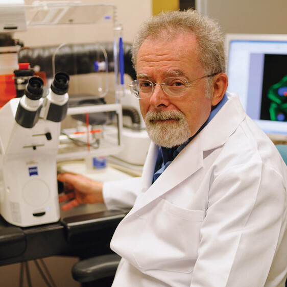 Joel B. Baseman, Ph.D., professor and chair of Microbiology and Immunology
