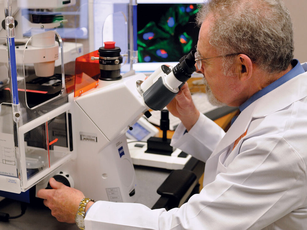 Joel B. Baseman, Ph.D., examines live cells using an inverted fluorescence microscope, which was purchased with funds from the Kleberg Foundation grant. The technology allows researchers to closely observe pulmonary pathogens, and better understand how these infectious agents invade human cells and grow and multiply in the body. Their goal is to develop innovative treatments to prevent asthma and other acute and chronic airway diseases.