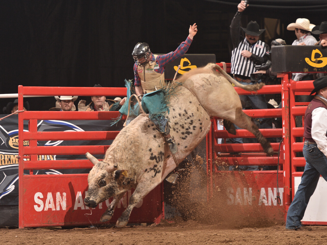 Livestock Expo