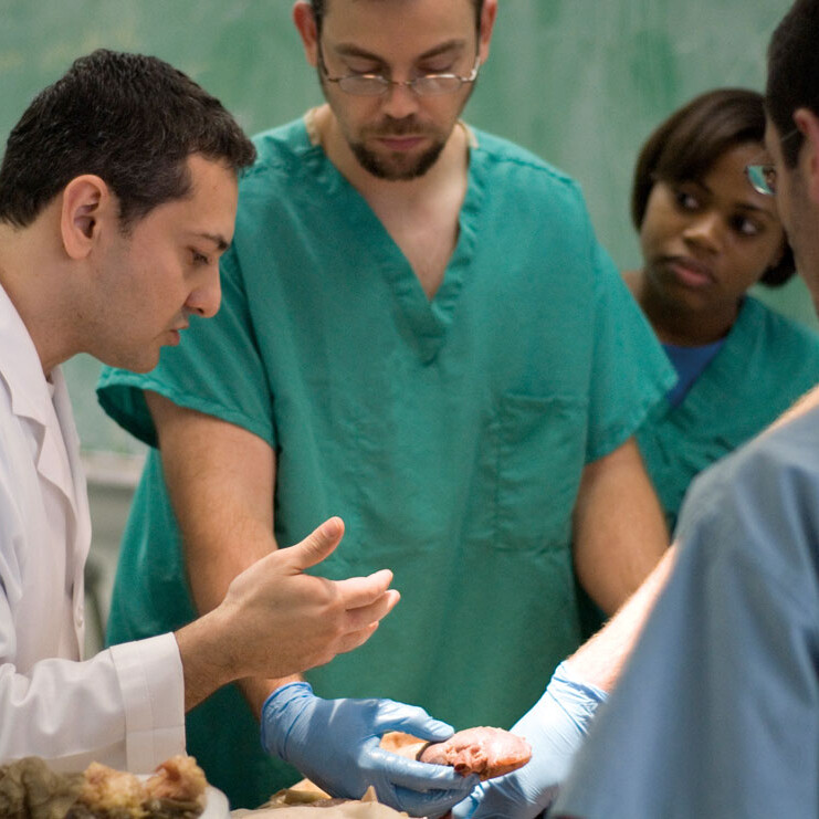 (Photo left) Omid Rahimi, Ph.D., assistant professor of cellular and structural biology (left). directs the Human Anatomy Program at the UT Health Science Center.