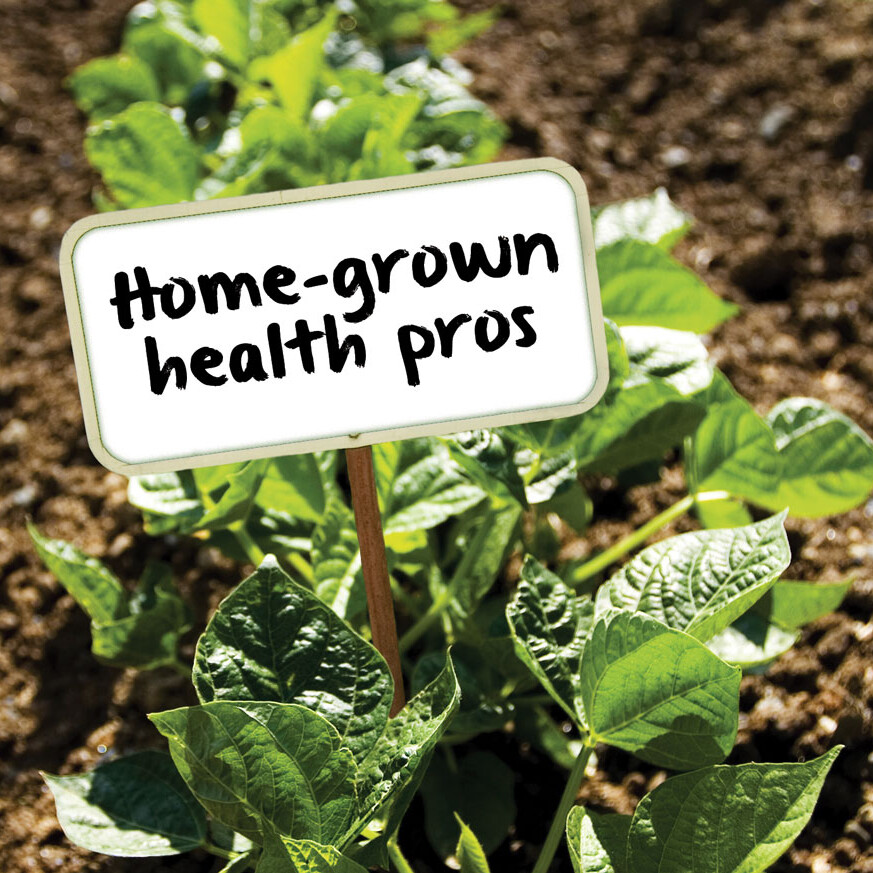 Home-grown health pros