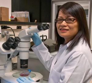 Pei Wang, Ph.D.