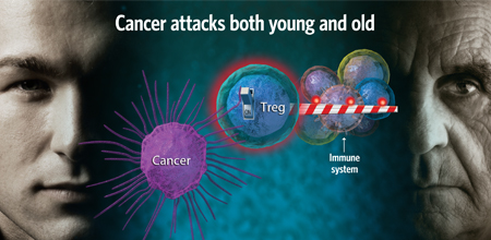 elderly_cancer_immune_system_graphic