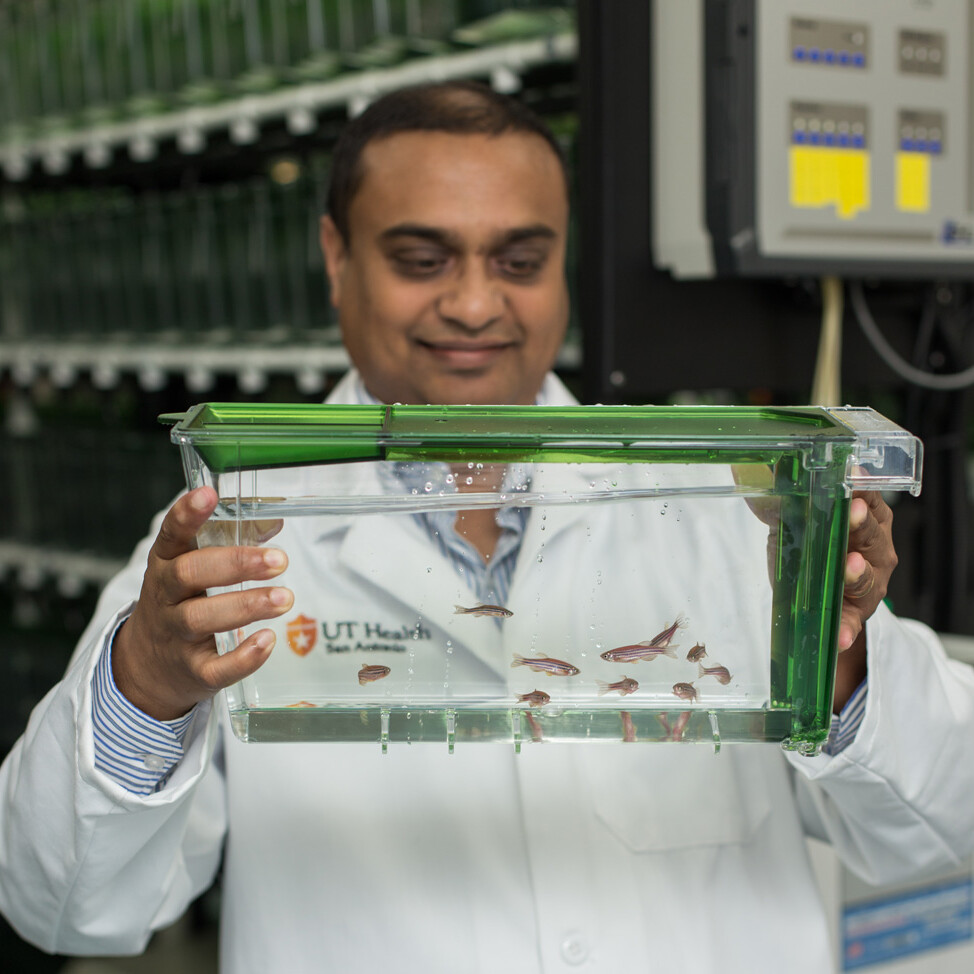 Myron Ignatius, Ph.D., holds up aquarium containing zebrafish.
