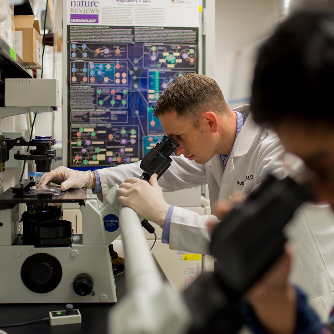 Dr. Svatec looks through microscope