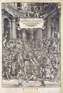 a page from De humani corporis fabrica libri septem (The Fabrica), by Andreas Vesalius (1514–1564)