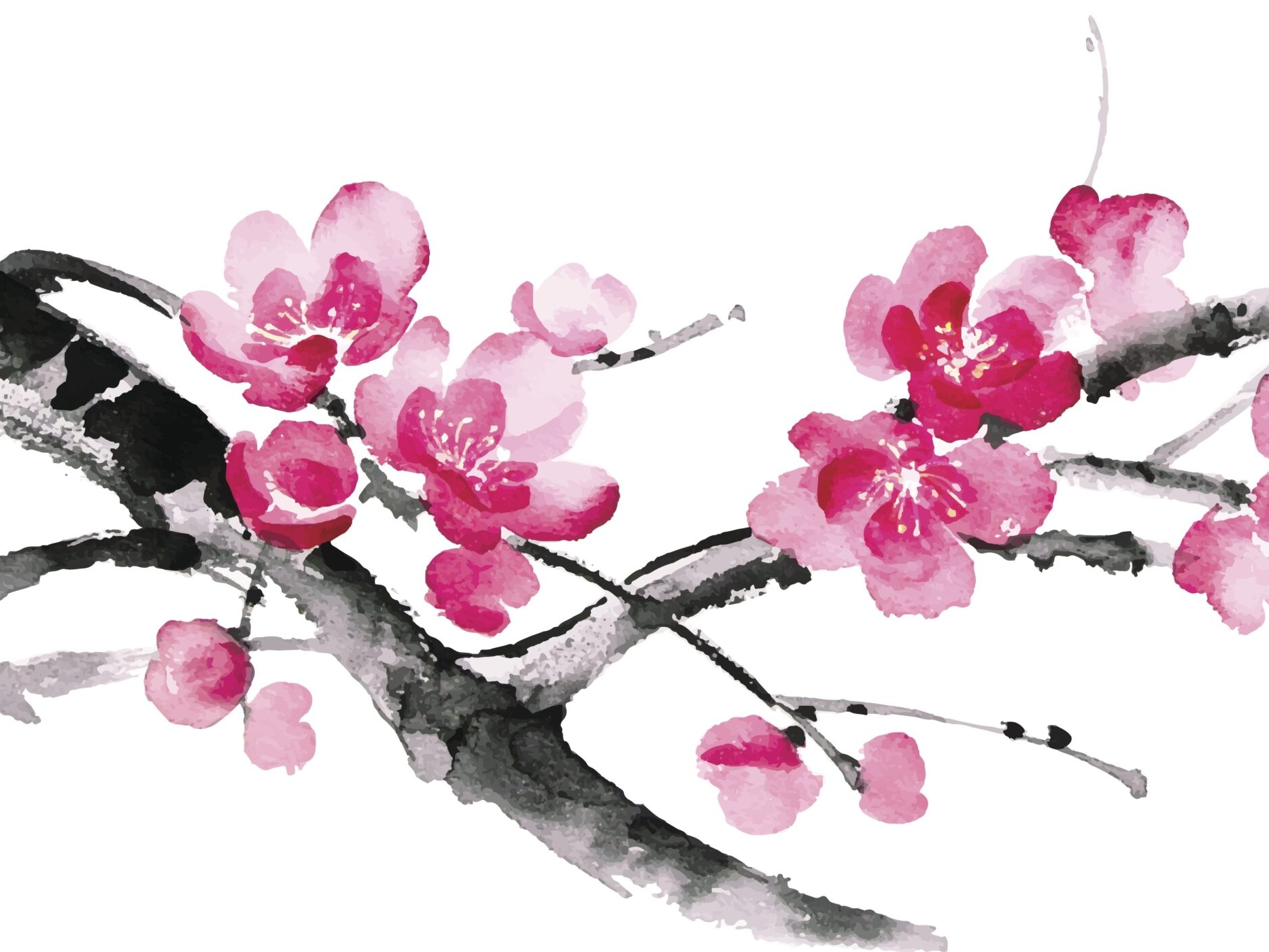 Watercolor print of cherry blossoms