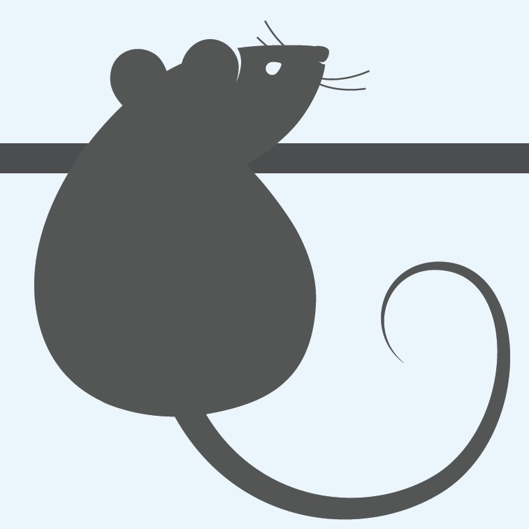 illustration of mouse