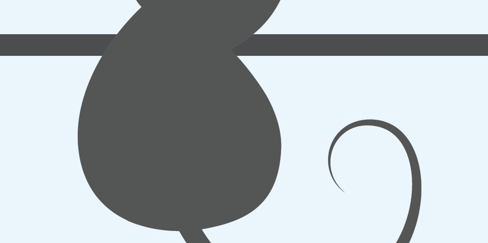 illustration of mouse