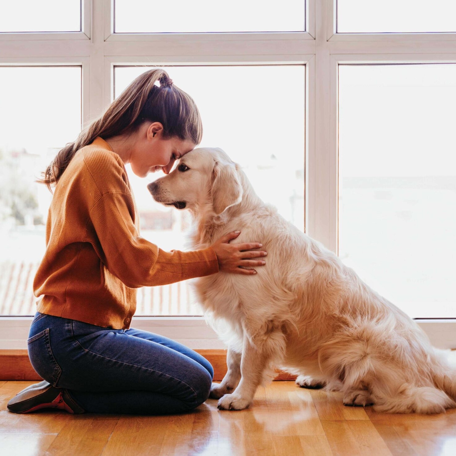 Girl smiling and looking into the eyes of a therapy dog