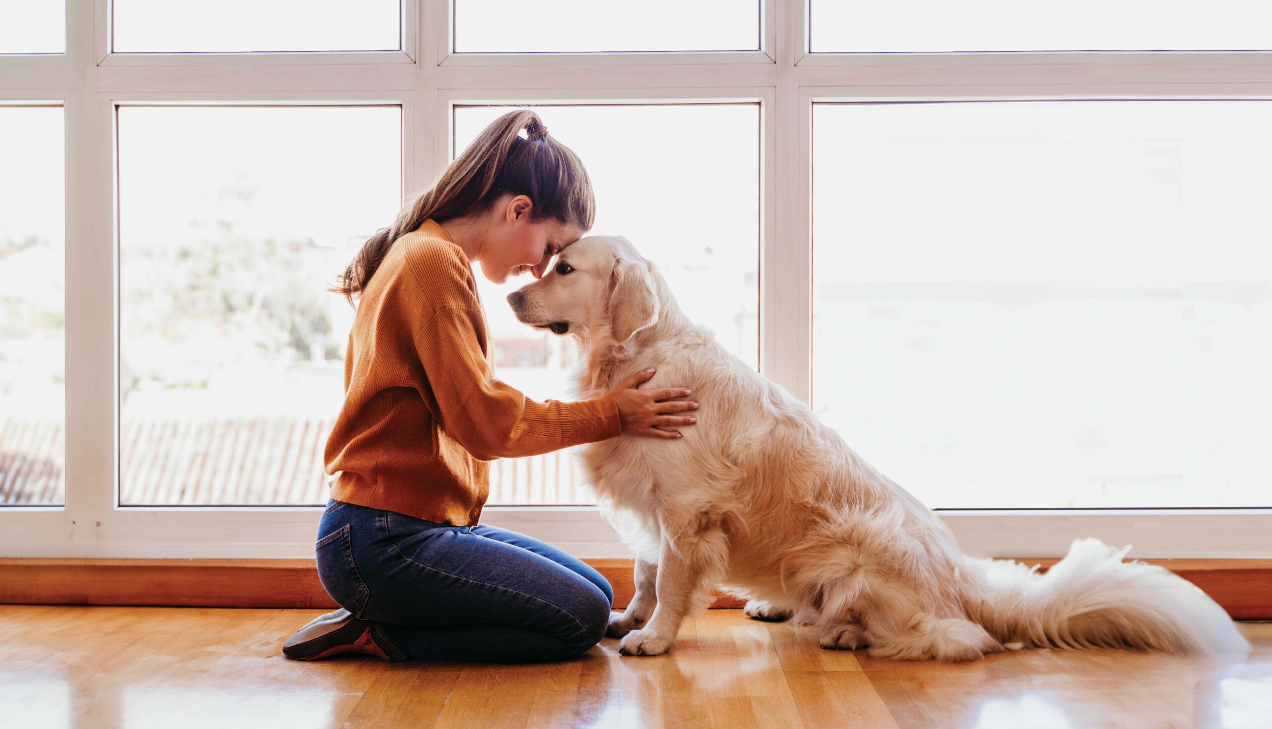 Girl smiling and looking into the eyes of a therapy dog