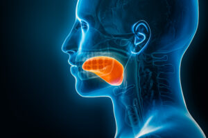 Xray lateral or profile view of the tongue 3D rendering illustration with male body contours.