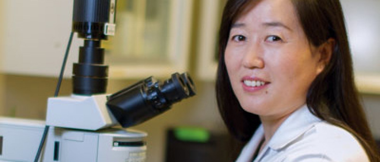 Xin-Yun Lu, M.D., Ph.D.