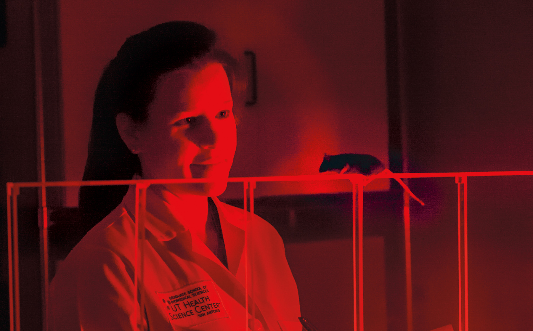 Researcher observes mouse given a dose of the anti-epilepsy drug retigabine.