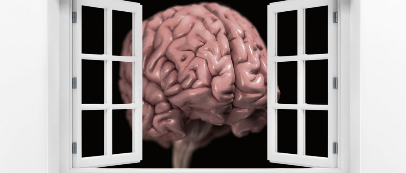 Brain in window