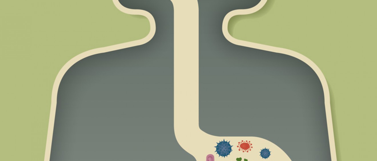 stomach illustration