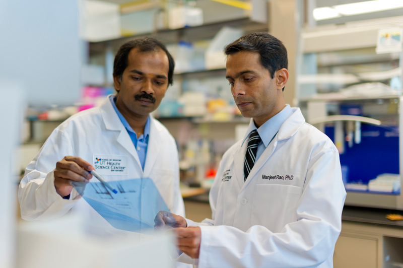 Manjeet Rao, Ph.D. (right), assistant professor of cellular and structural biology, was one of several HSC faculty awarded research grants and faculty recruitment funds.