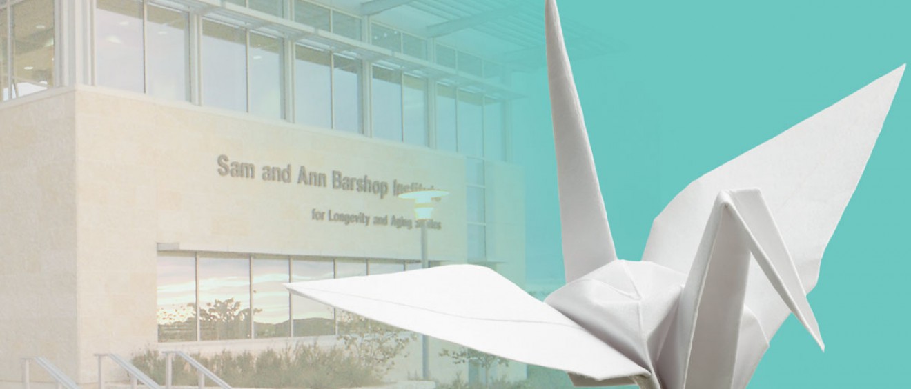 Barshop Institute