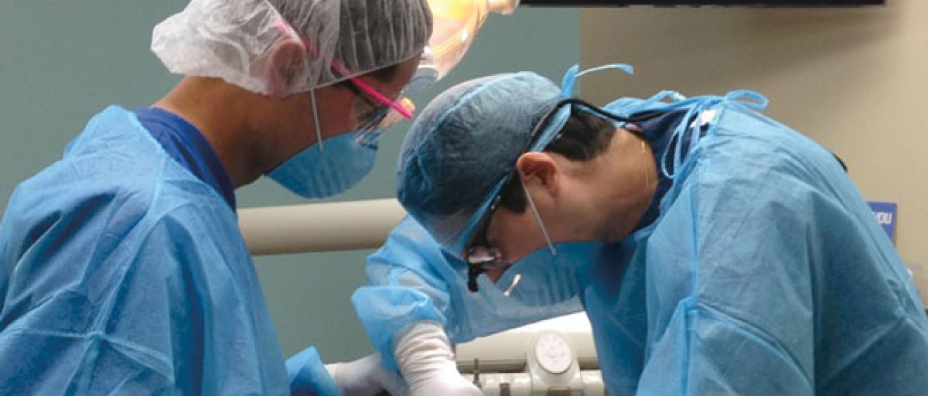 dentists