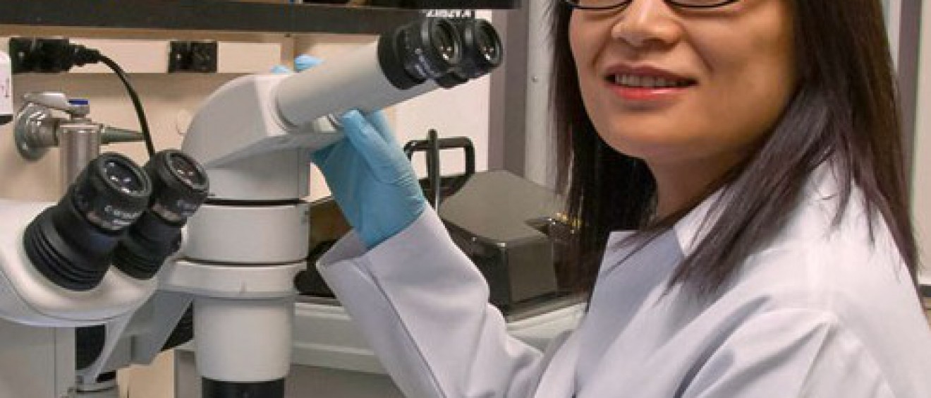 Pei Wang, Ph.D.