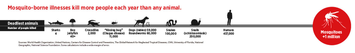 graphic of the world's deadliest animals