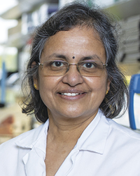 Sudha Seshadri, MD, director of the Glenn Biggs Institute for Alzheimer’s and Neurodegenerative Diseases